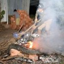 성의 농장 이미지