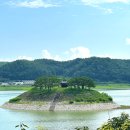 안동세월교 | 안동 여름여행 도산서원 배롱나무와 시사단 고즈넉한 풍경