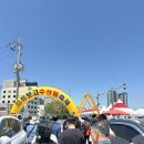 총총) 완도 장보고 수산물 축제 + 관광 다녀온 후기