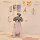 브리앙뜨몽 이미지