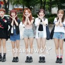 푸른&소나무 이미지