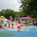 단대공원 물놀이장 이미지