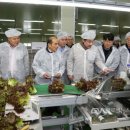 만인산농협 산지유통센터 이미지