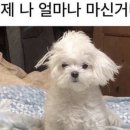 별미콩나물국밥 이미지