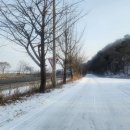 임월교 교차로 이미지