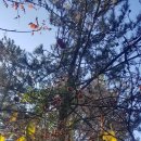 하당로 289번길 이미지