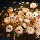 별빛캠프 이미지