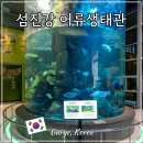 간전-2 | 섬진강 어류생태관 전라남도 구례 여행 실내 가볼만한 곳