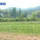 이재옥농장 이미지