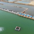 영흥바다낚시터 이미지