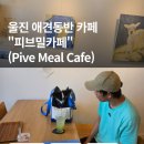 피브밀카페 이미지