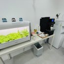 신물금점 기아오토큐 이미지