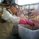 이편한세탁사랑 이미지