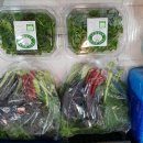 옹가네야채 이미지