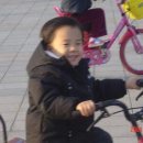 띵가띵가 이미지