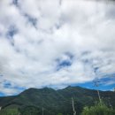 유유아로마 이미지