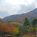 신명1983 | 마음에 가을이 물드는 나들이코스