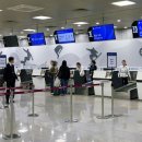 양양하우스 | 양양-제주 노선 파라타항공 후기 (양양 세컨하우스에서 제주여행가기)