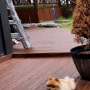 속초 애견펜션 양양 해피 플레이스 이미지