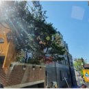 뉴스타빌딩앞 | 영등포 크레인 건설 현장 필수 파트너 역할과 선택 핵심 정보