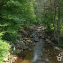 국립청옥산자연휴양림 이미지