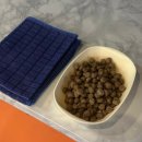 낭만물고기실내낚시카페 이미지