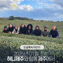 제주다정여행사 이미지