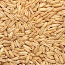 슈퍼짐 헬스휘트니스 이미지