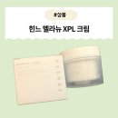 [제품] 기미·잡티·여드름흉터 고민 색소침착 개선하는 힌느 멜라뉴 XPL 크림