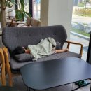 더블유푸드테라피센터 이미지