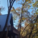 영규농장 이미지