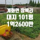 계화중학교 이미지