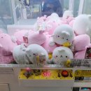 인형뽑기놀이터 이미지