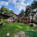 성지애견 이미지