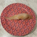 중앙동321 | 안산 중앙역 초밥맛집 [스시락 1500원회전초밥] 가성비 좋은 회전초밥 후기