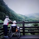 동막골 - 영월군 | 동막골