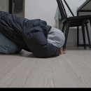 카페플로원