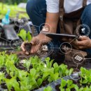 스마트팜 이미지