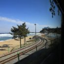 풍년쌀상회 이미지