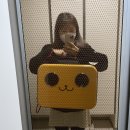 송림동물병원 / 인천 고양이 전문 병원 / 발바닥 까짐 타박상