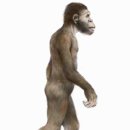 참좋은 통증의학과의원 | 서울대입구 삼성 척척 마취통증의학과 (일자목, 회전근개 염증 치료 /도수치료 찐 후기 및 정보)