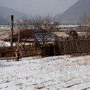 구룡촌 이미지