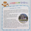 충주피디코리아