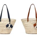 브라운퍼피 이미지