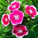 구리백내과의원 이미지