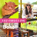 라파엘안경 | 보홀 육상투어 하루 코스 후기｜초콜릿힐·로복강 크루즈까지 완벽 정리