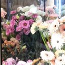 꽃나라 | 감성가득 주례 꽃집 "꽃나라"퀄리티 대만족 내돈내산 후기