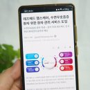 리퍼메드 이미지