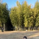 삼보목장 이미지