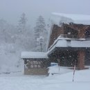 하양적벽돌 | 겨울이면 생각날거야 삿포로여행 3일차.비에이 렌트여행.비에이숙소 톰테룸.세븐스타나무.탁신관갤러리...